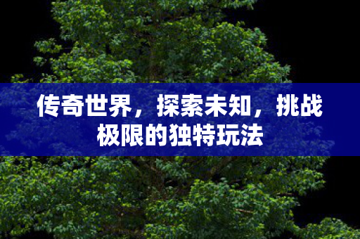 挑战极限的独特玩法图片