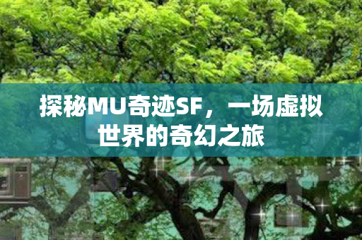 一场虚拟世界的奇幻之旅图片
