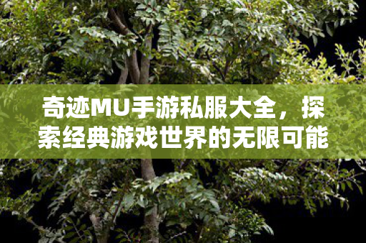 探索经典游戏世界的无限可能图片