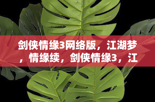 剑侠情缘3网络版,江湖梦,情缘续,剑侠情缘3,江湖梦再续,情缘难断 剑侠情缘3网络版,江湖梦,情缘续,剑侠情缘3,江湖梦再续,情缘难断