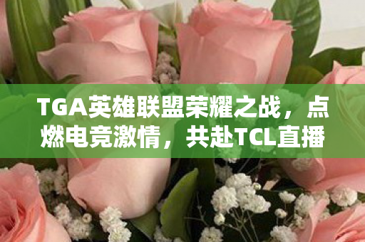TGA英雄联盟荣耀之战图片
