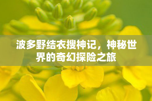 神秘世界的奇幻探险之旅图片