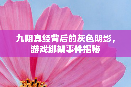 九阴真经背后的灰色阴影图片