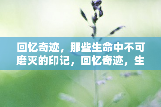 回忆奇迹,那些生命中不可磨灭的印记,回忆奇迹,生命中不可磨灭的印记 回忆奇迹,那些生命中不可磨灭的印记,回忆奇迹,生命中不可磨灭的印记