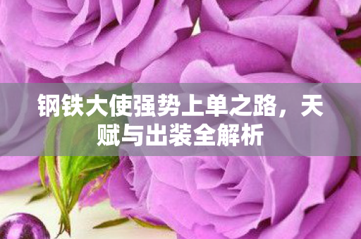 钢铁大使强势上单之路图片