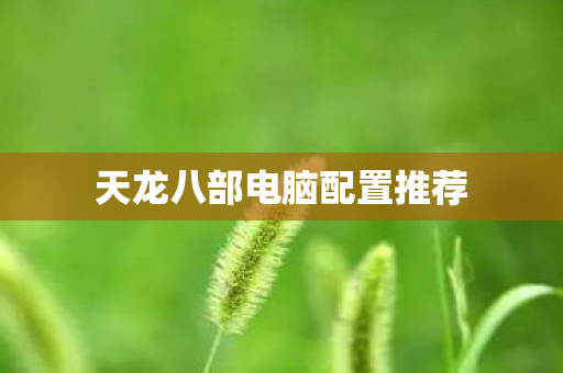 天龙八部电脑配置推荐图片