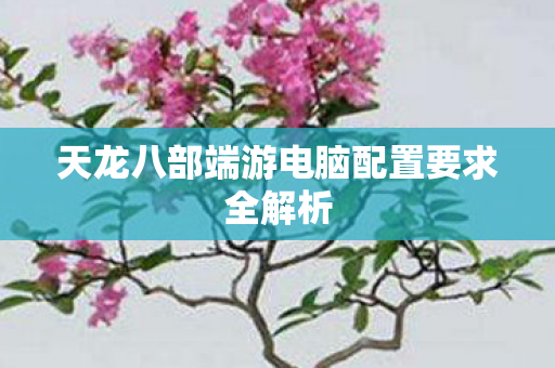 天龙八部端游电脑配置要求全解析图片