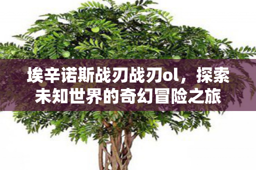 探索未知世界的奇幻冒险之旅图片