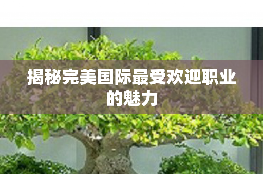 揭秘完美国际最受欢迎职业的魅力图片