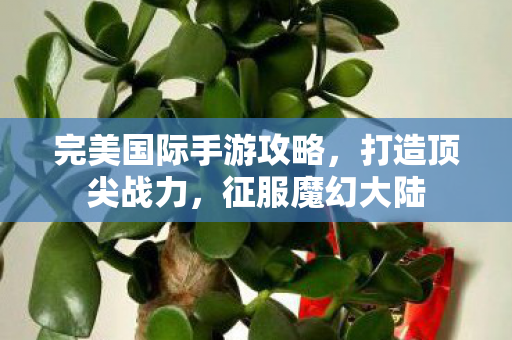 完美国际手游攻略图片