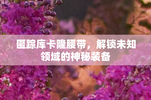 解锁未知领域的神秘装备图片