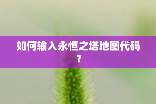 如何输入永恒之塔地图代码图片