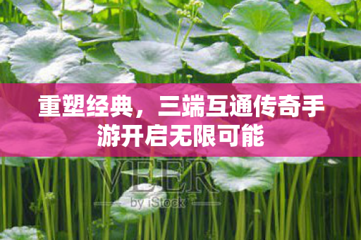 三端互通传奇手游开启无限可能图片