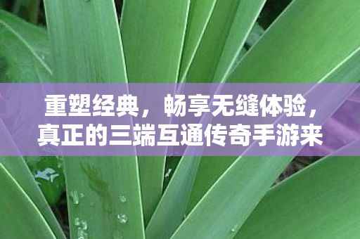 真正的三端互通传奇手游来啦图片