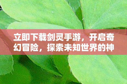 探索未知世界的神秘之旅图片