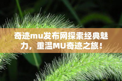 奇迹mu发布网探索经典魅力图片