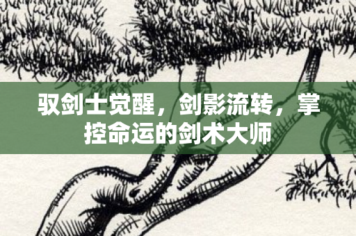 掌控命运的剑术大师图片