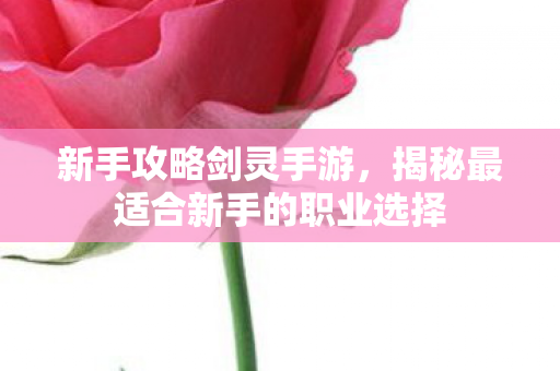 揭秘最适合新手的职业选择图片