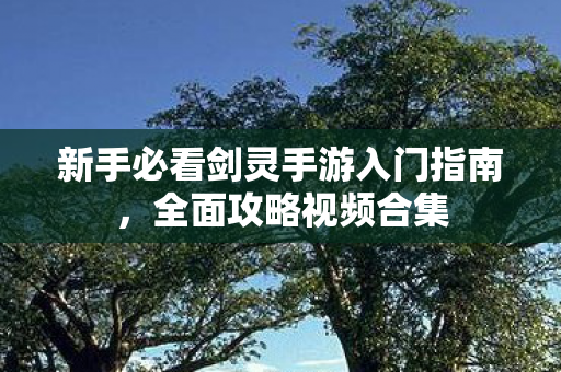 新手必看剑灵手游入门指南图片