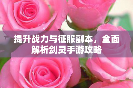 全面解析剑灵手游攻略图片