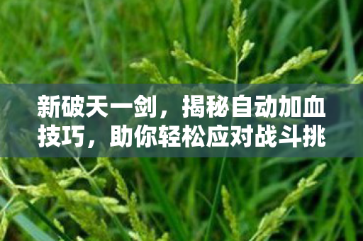 助你轻松应对战斗挑战图片