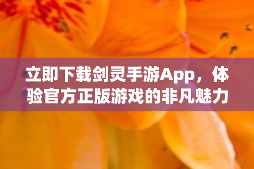 体验官方正版游戏的非凡魅力图片