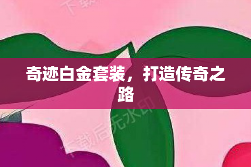 奇迹白金套装图片