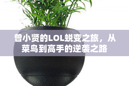曾小贤的LOL蜕变之旅图片