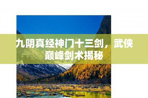 九阴真经神门十三剑图片