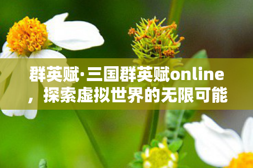 三国群英赋online图片