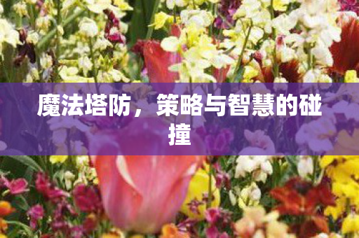 策略与智慧的碰撞图片