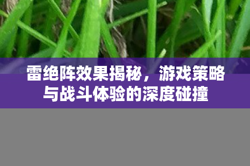 游戏策略与战斗体验的深度碰撞图片
