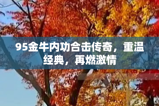 95金牛内功合击传奇图片