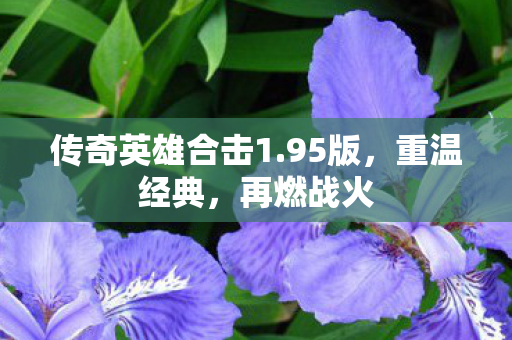 传奇英雄合击1图片