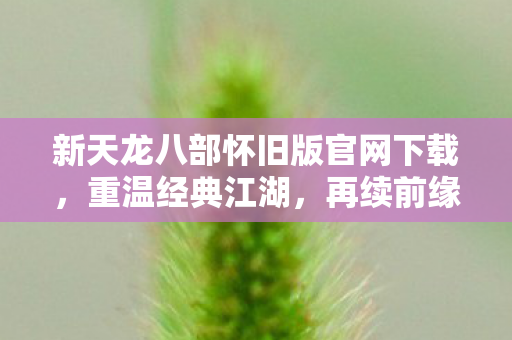 新天龙八部怀旧版官网下载图片