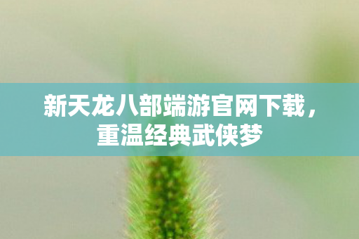 新天龙八部端游官网下载图片