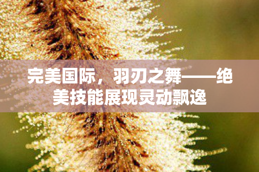绝美技能展现灵动飘逸图片