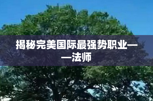 揭秘完美国际最强势职业图片