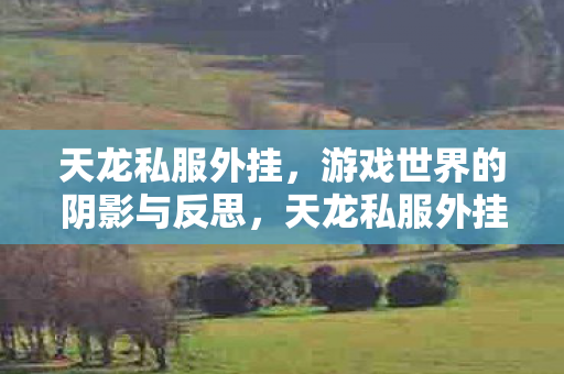 天龙私服外挂，游戏世界的阴影与反思，天龙私服外挂，游戏世界的阴影与反思