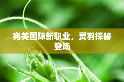 完美国际新职业图片