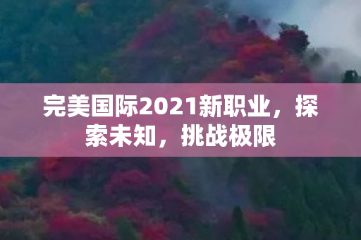 完美国际2021新职业图片