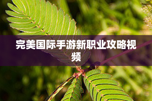 完美国际手游新职业攻略视频图片