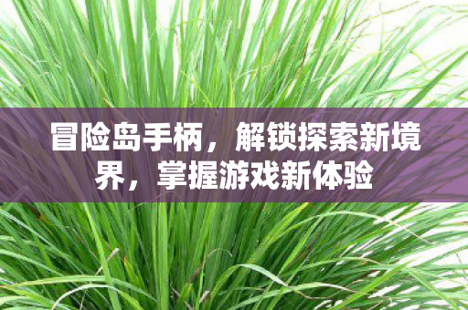 解锁探索新境界图片
