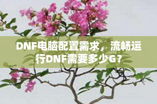 流畅运行DNF需要多少G图片