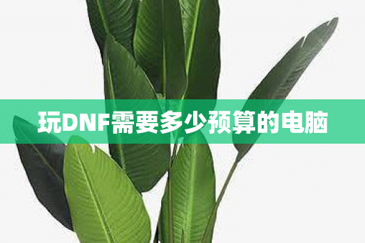 玩DNF需要多少预算的电脑图片