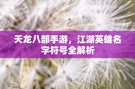 江湖英雄名字符号全解析图片