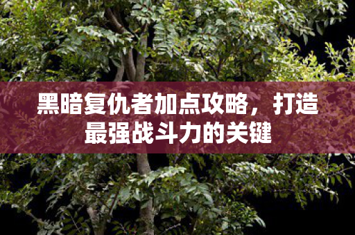 黑暗复仇者加点攻略,打造最强战斗力的关键 黑暗复仇者加点攻略,打造最强战斗力的关键
