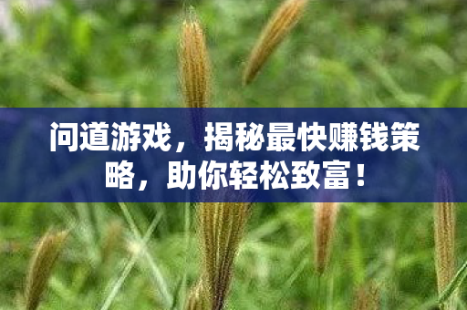 揭秘最快赚钱策略图片