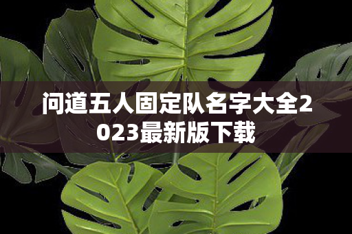 问道五人固定队名字大全2023最新版下载图片