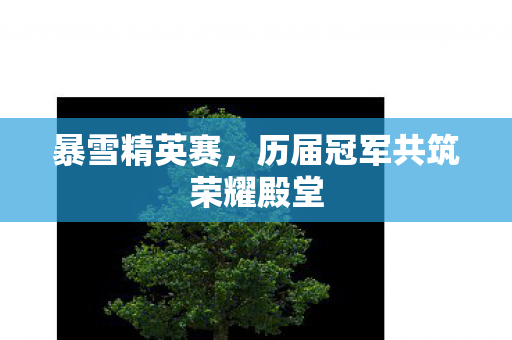 历届冠军共筑荣耀殿堂图片